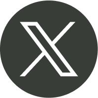 x icon